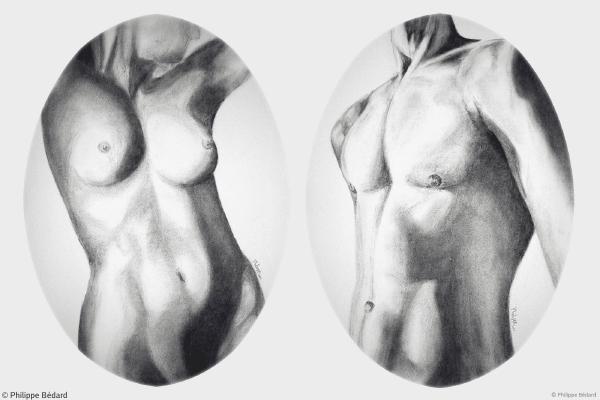 Naked Project (Charcoal on paper)  © Philippe Bédard 